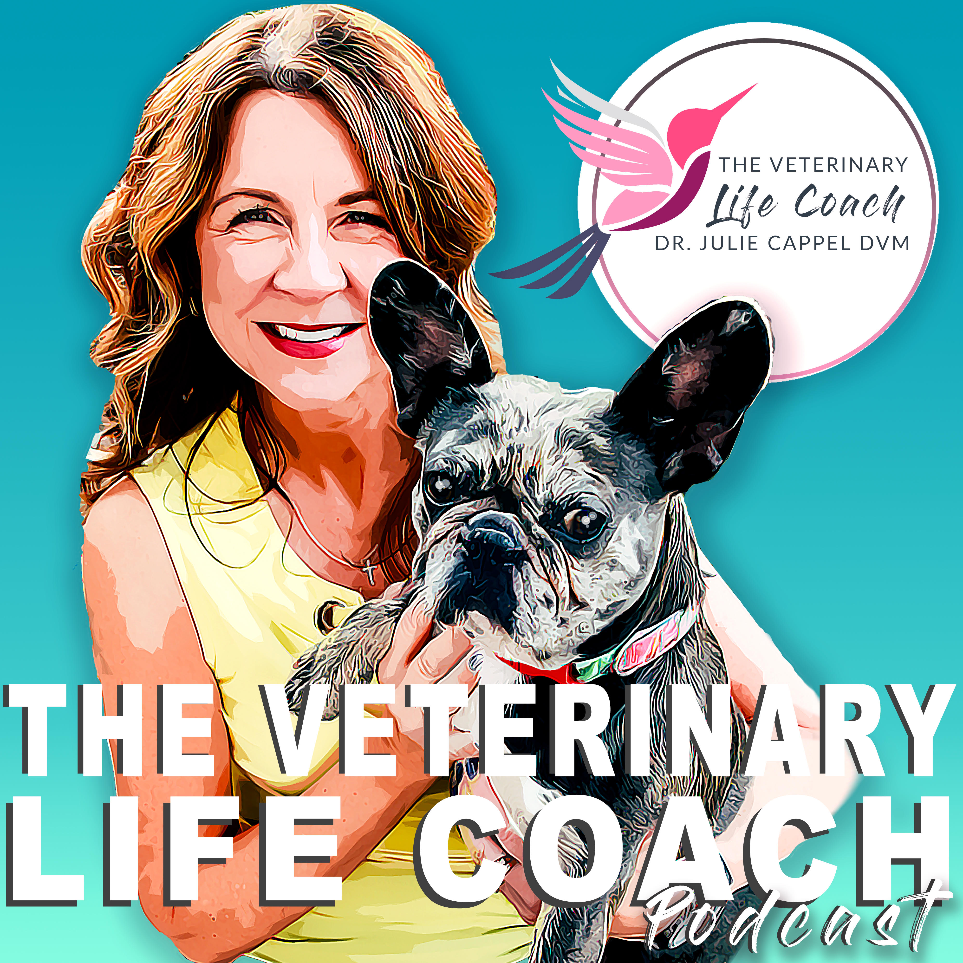 The Veterinary Life Coach® Podcast with Dr. Julie Cappel