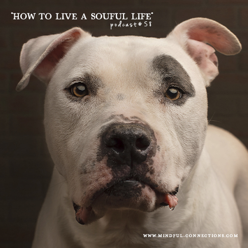 Let\'s Have A Chat!