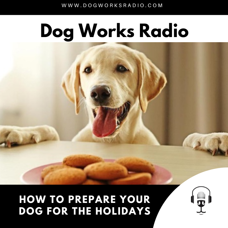 Dog Works Radio