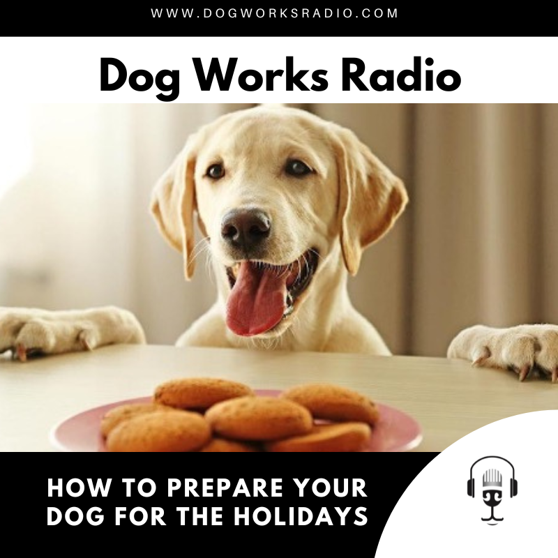 How to Prepare Your Dog for the Holidays