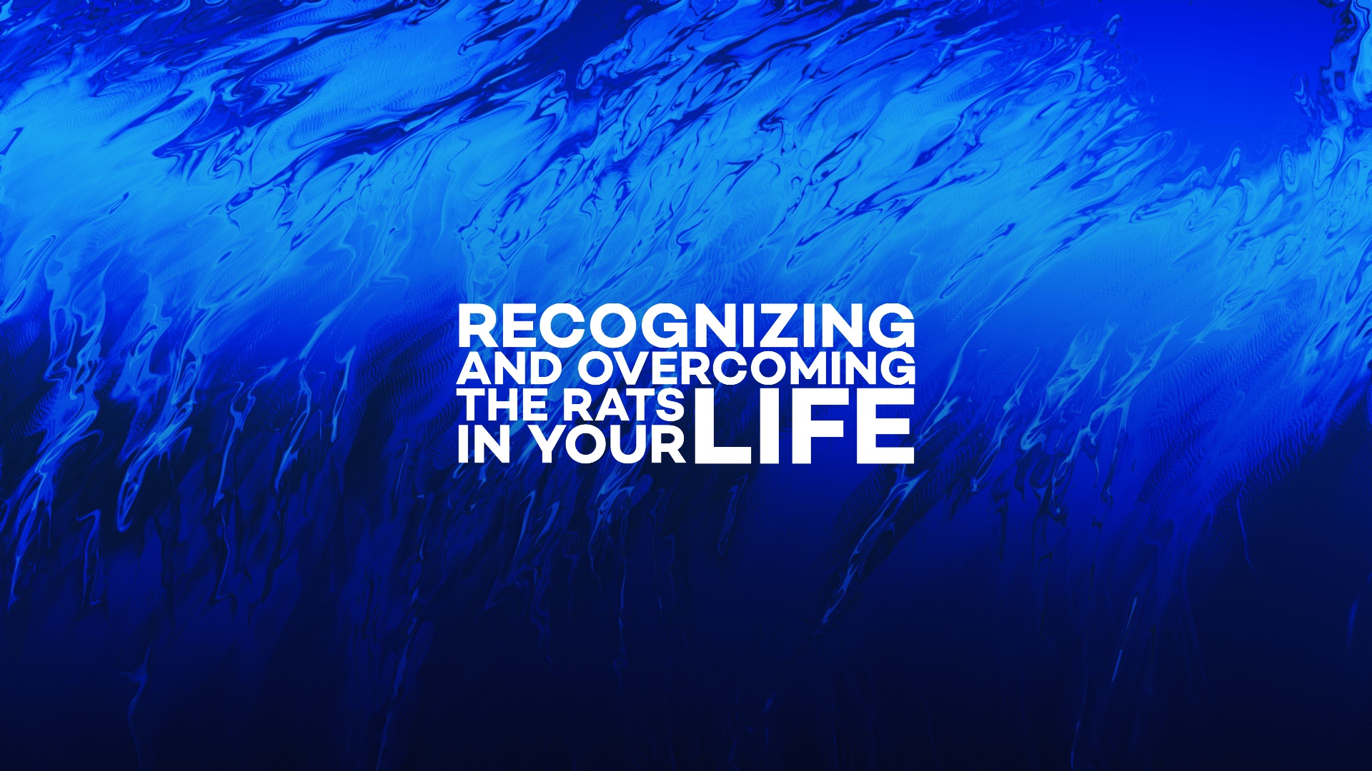 Recognizing and Overcoming the Rats In Your Life