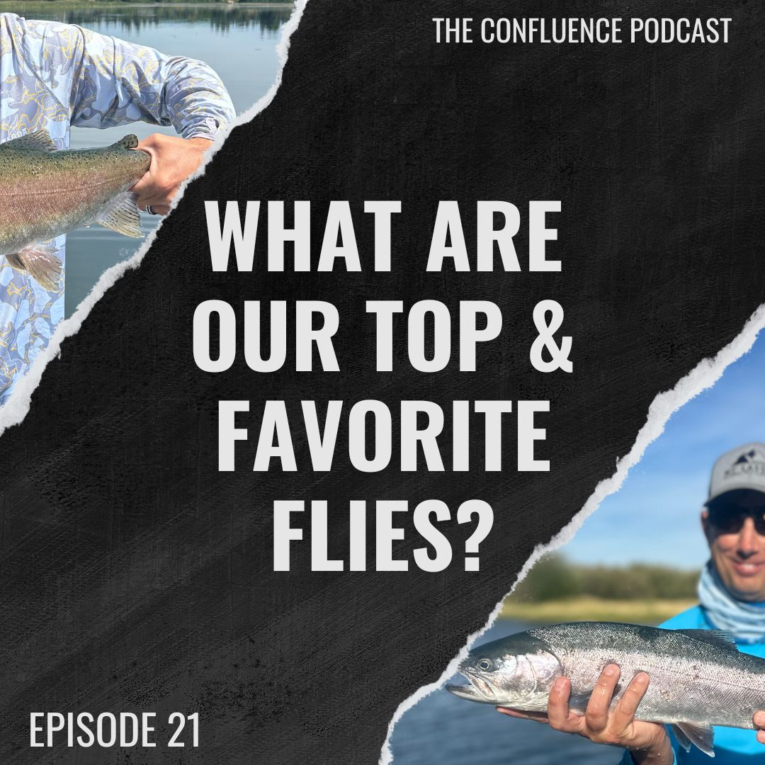 Episode 21: Our Favorite Flies & What's Next on the Menu?
