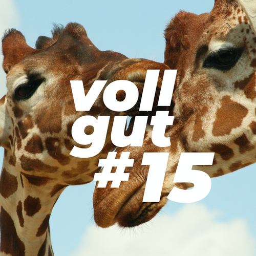 vollgut #15 Gewaltfreie Kommunikation: Sprichst du wie eine Giraffe oder ein Wolf?