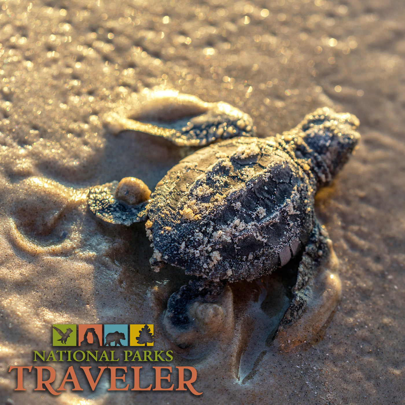 National Parks Traveler Podcast