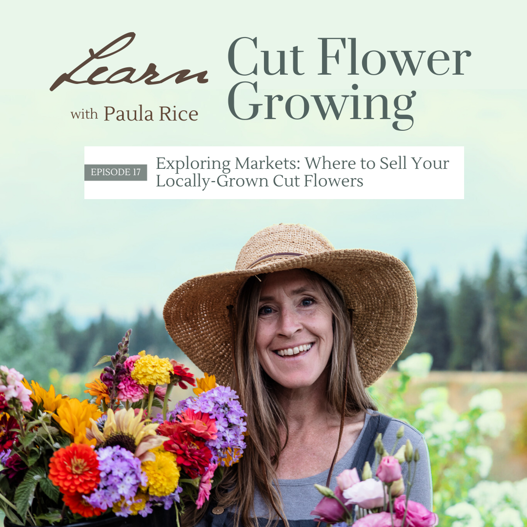 cover of episode 017: Exploring Markets: Where to Sell Your Locally-Grown Cut Flowers