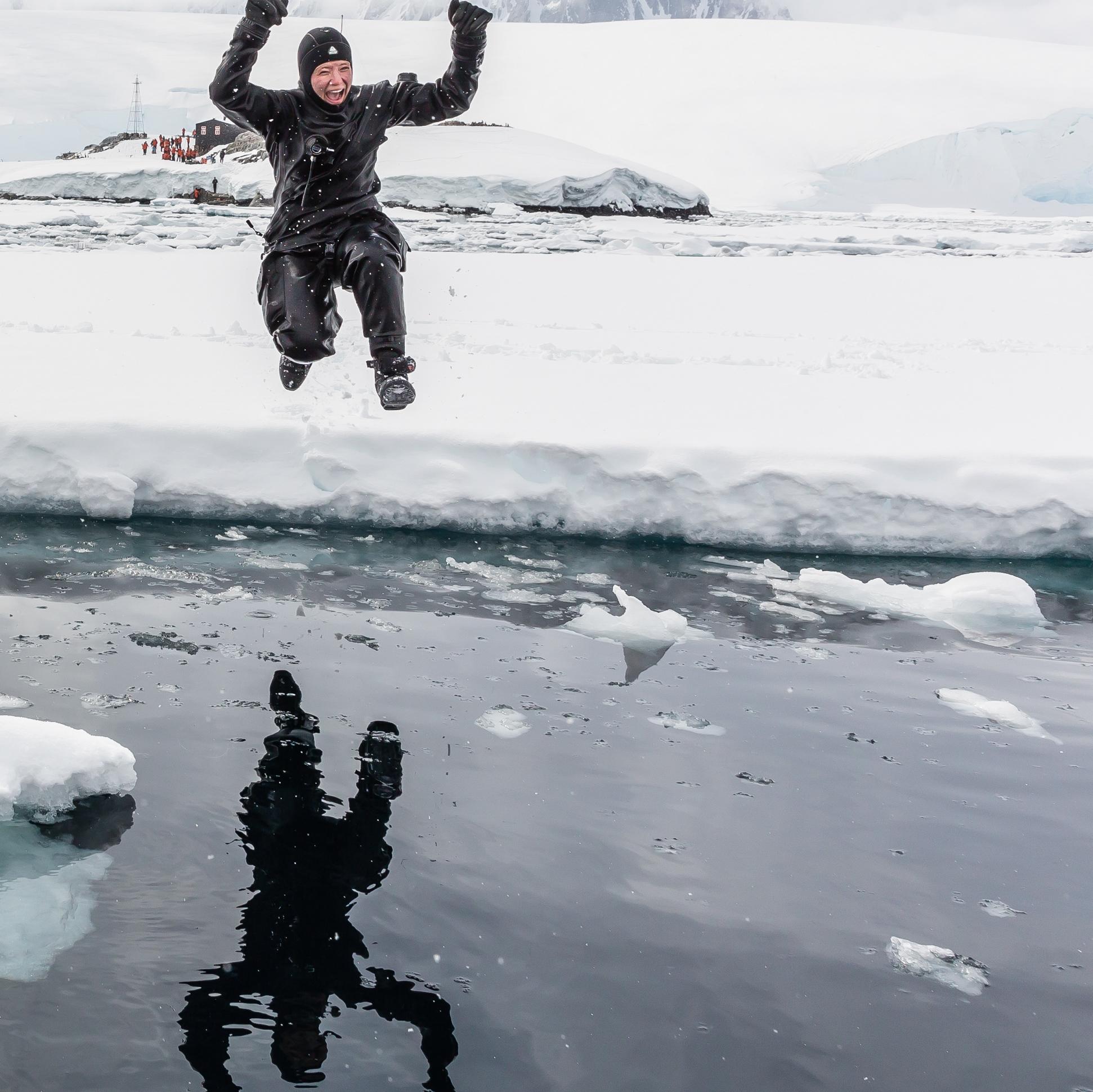 Polar Diving & the Weddell Seal