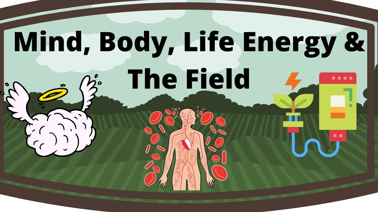 Mind, Body, Life Energy & The Field