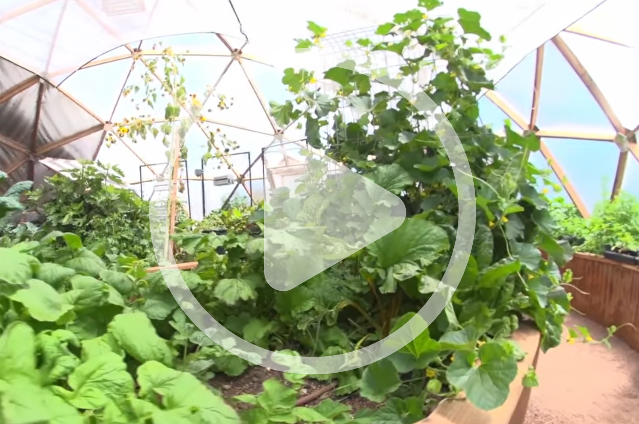 Growing in Deep Winter