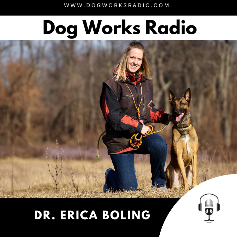 Dog Works Radio