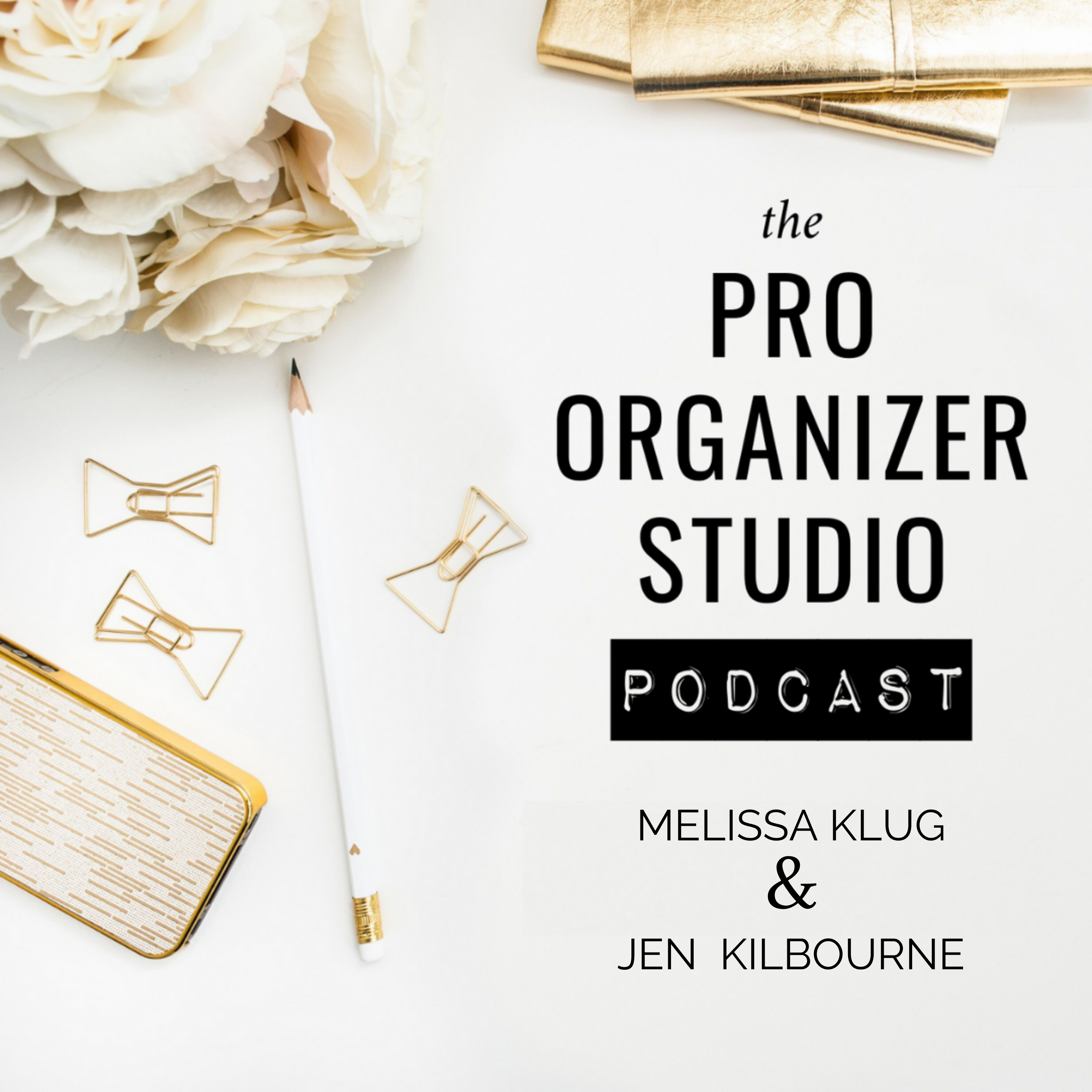 The Pro Organizer Studio Podcast