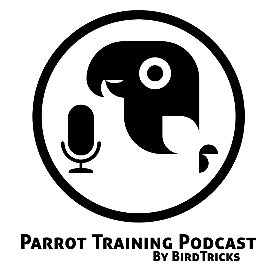 How to know when it's time to give up on your parrot!?