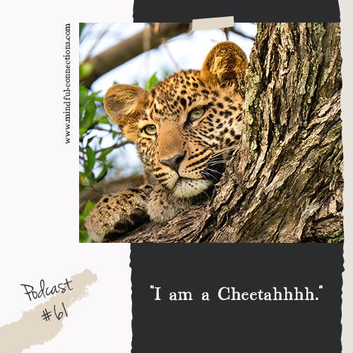 Let\'s Have A Chat!