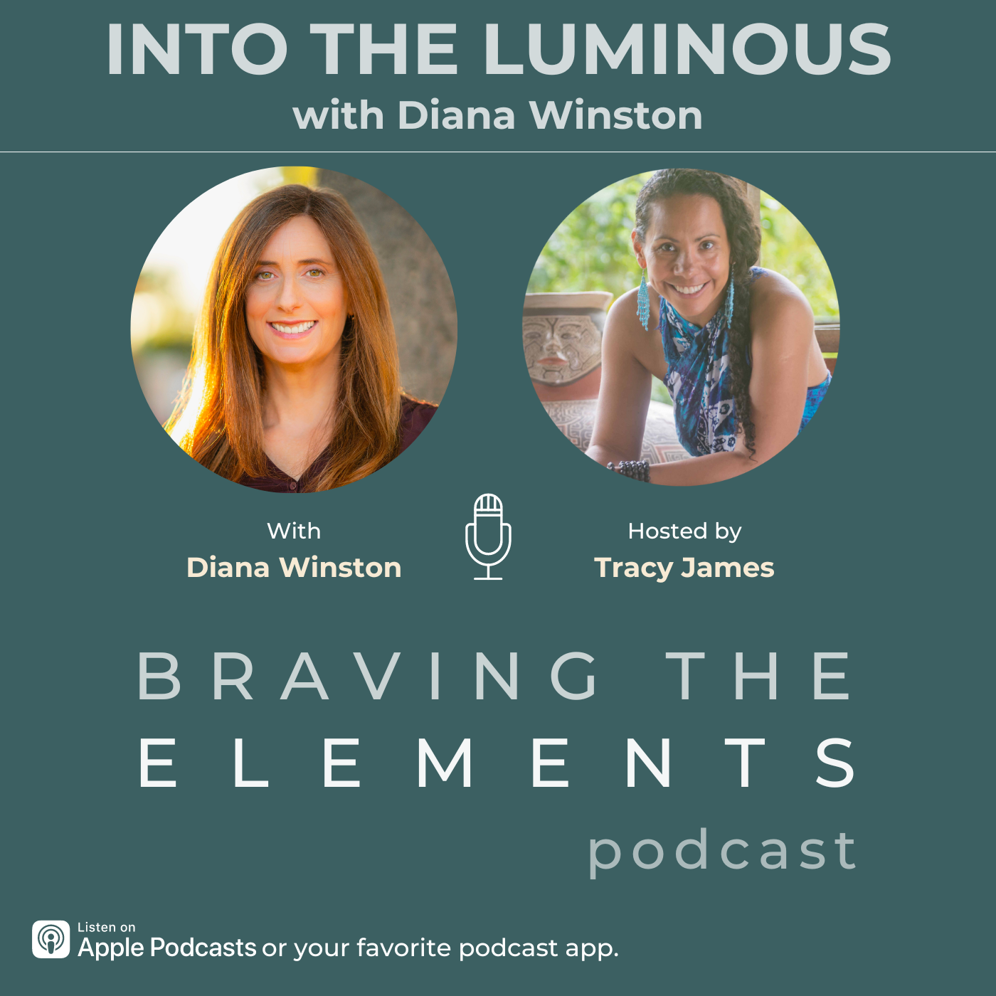 Braving the Elements Podcast with Tracy James