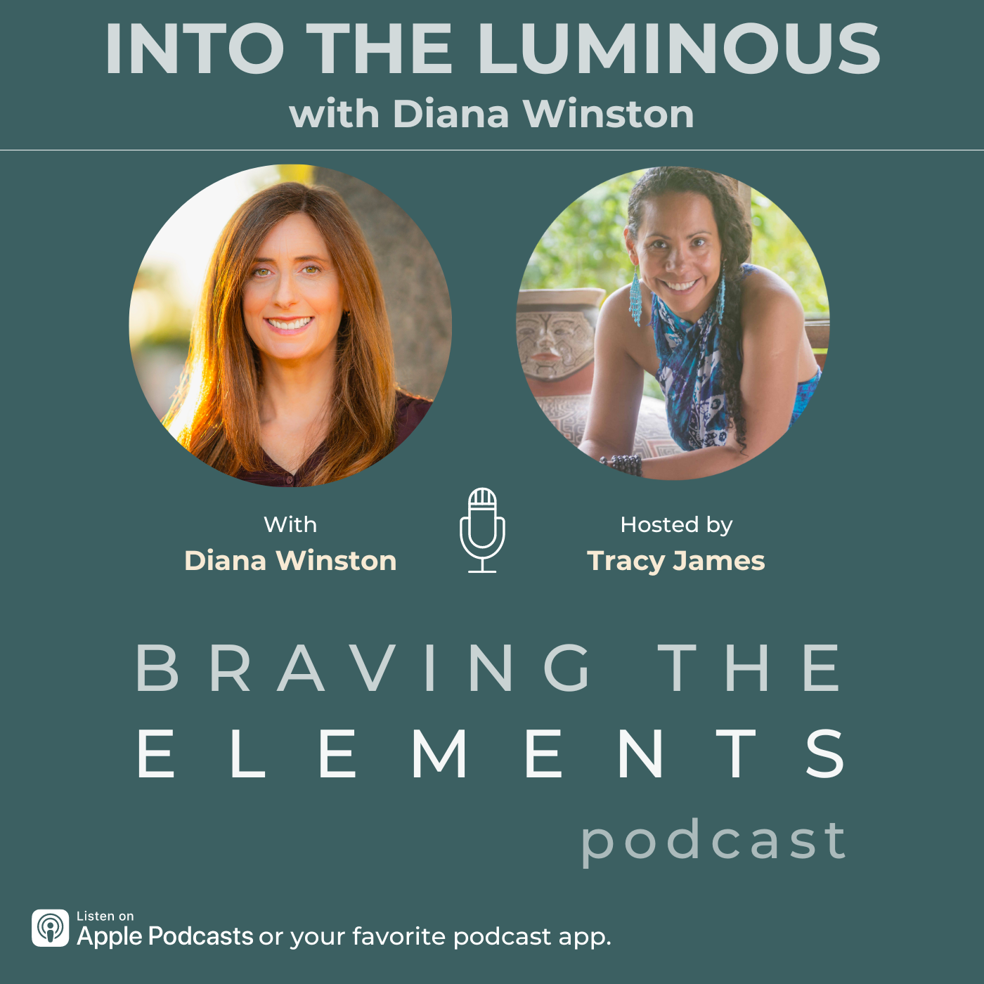 S3:E11 Into The Luminous with Diana Winston