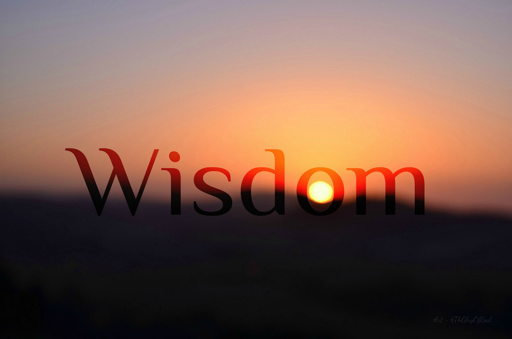 How Does a Wise Person Behave? #92 #Wisdom Reading James 3. How Does a Wise Person Behave? #92 #Wisdom Reading James 3.