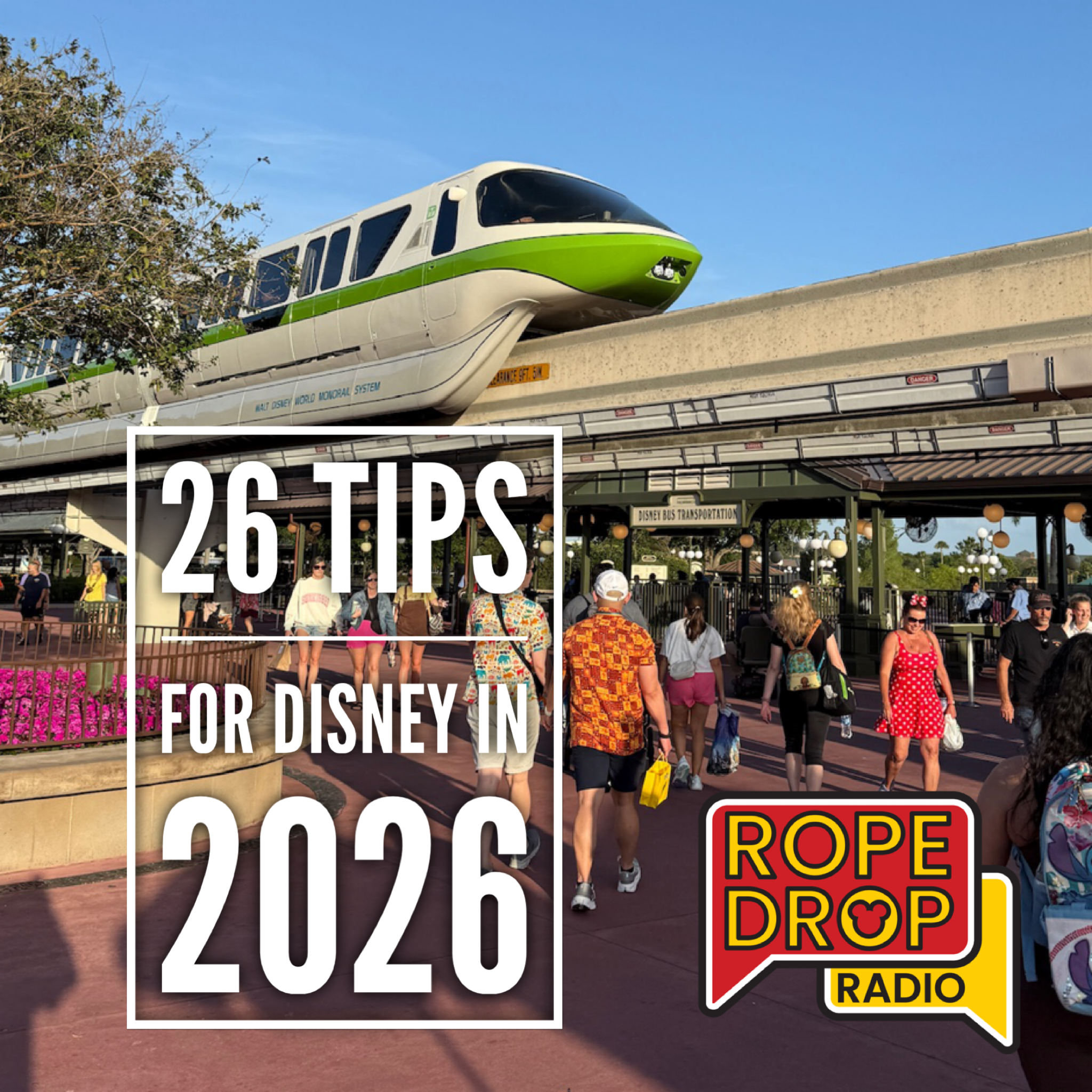 26 Disney World Tips You Actually Need for 2026