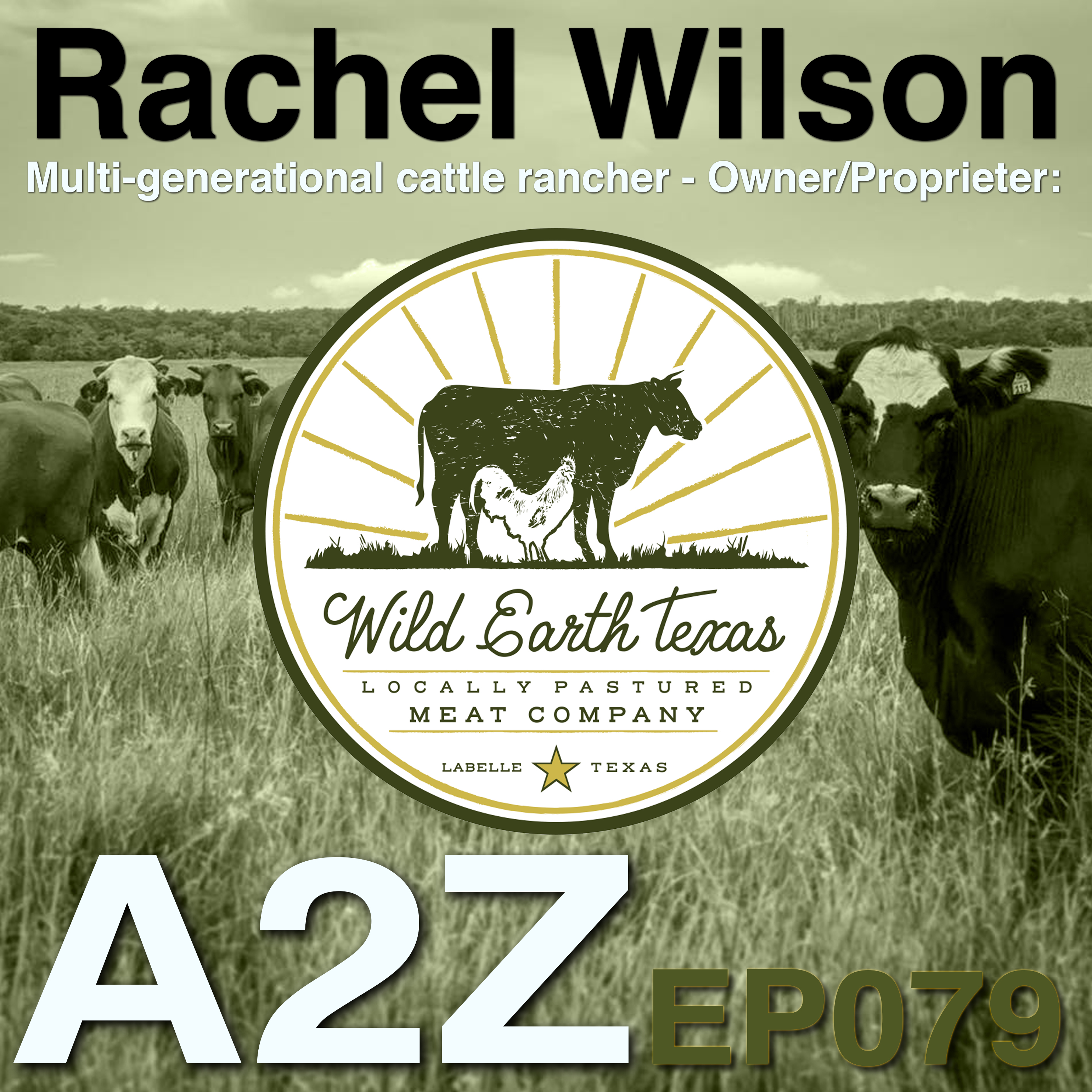 A2Z Podcast