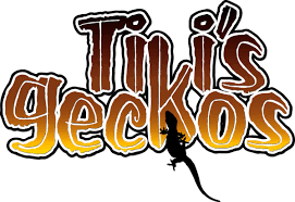 Session Six: Crested Geckos and Starting In The Reptile Business With Tikis Geckos