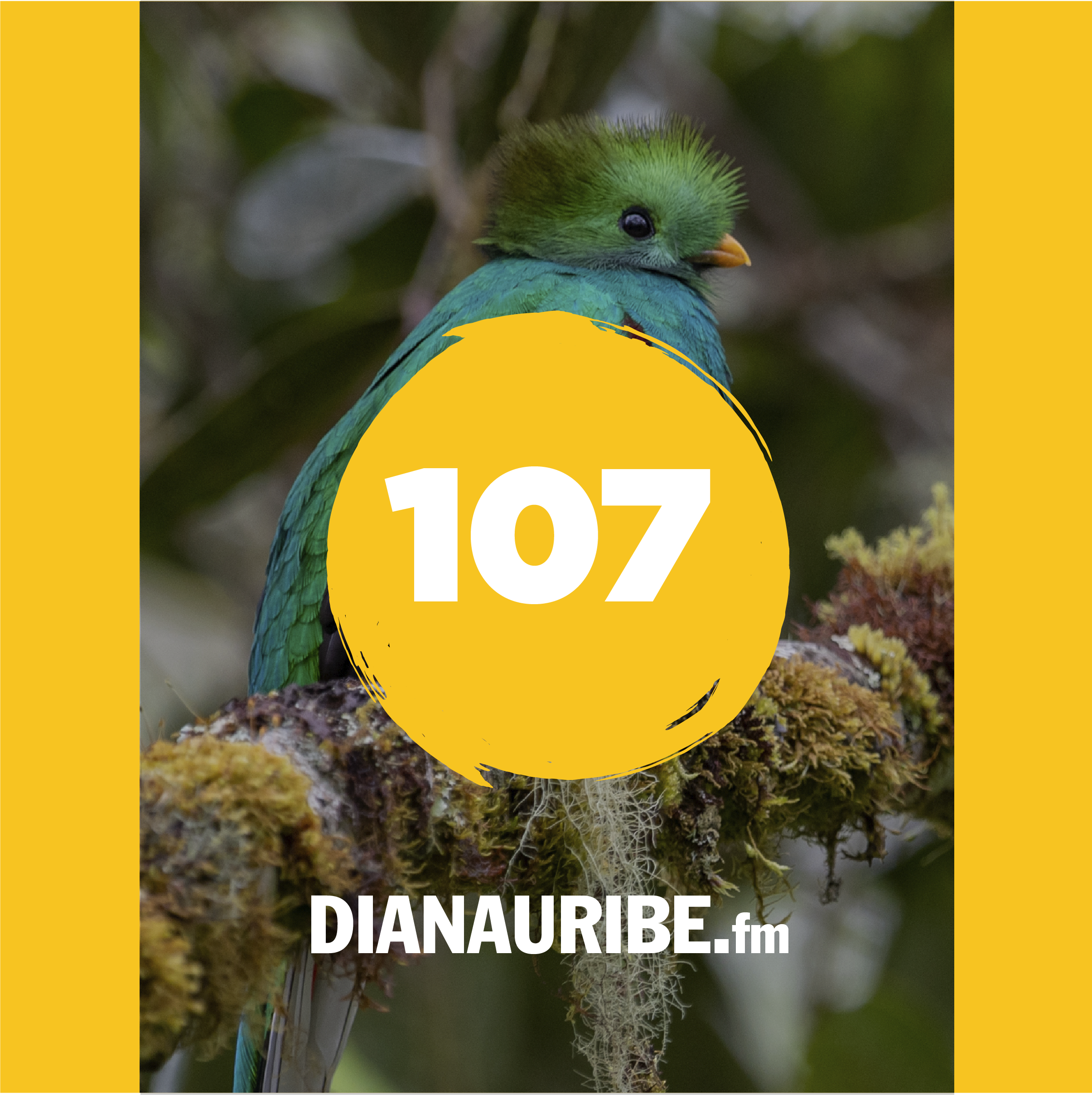 DianaUribe.fm