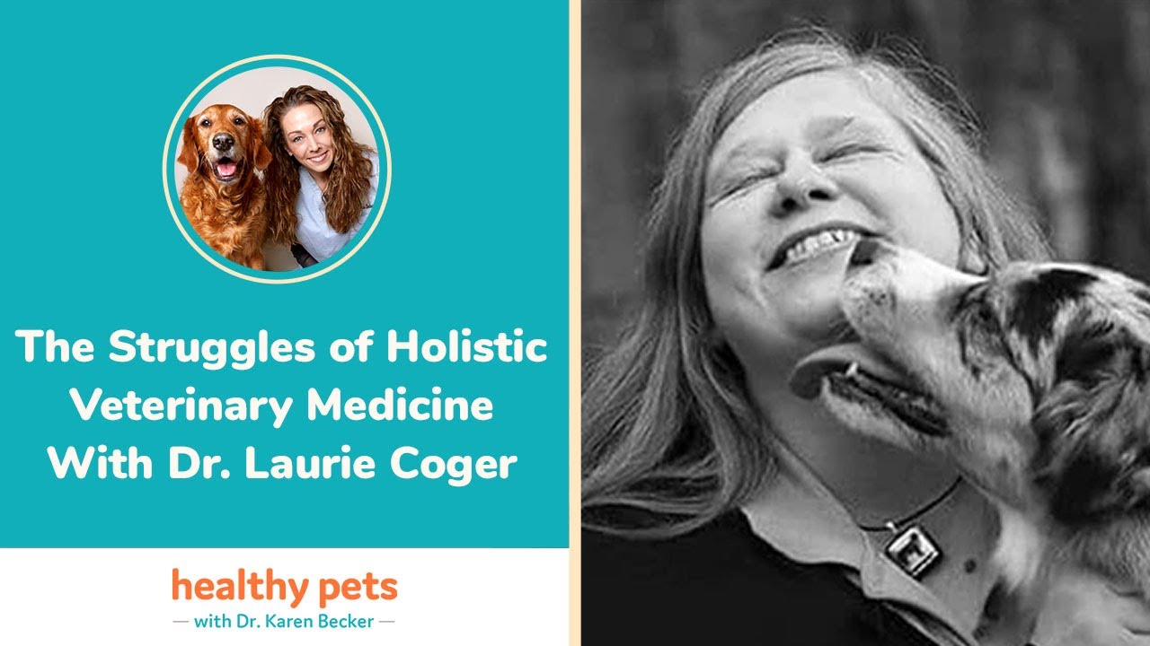 The Struggles of Holistic Veterinary Medicine With Dr. Laurie Coger
