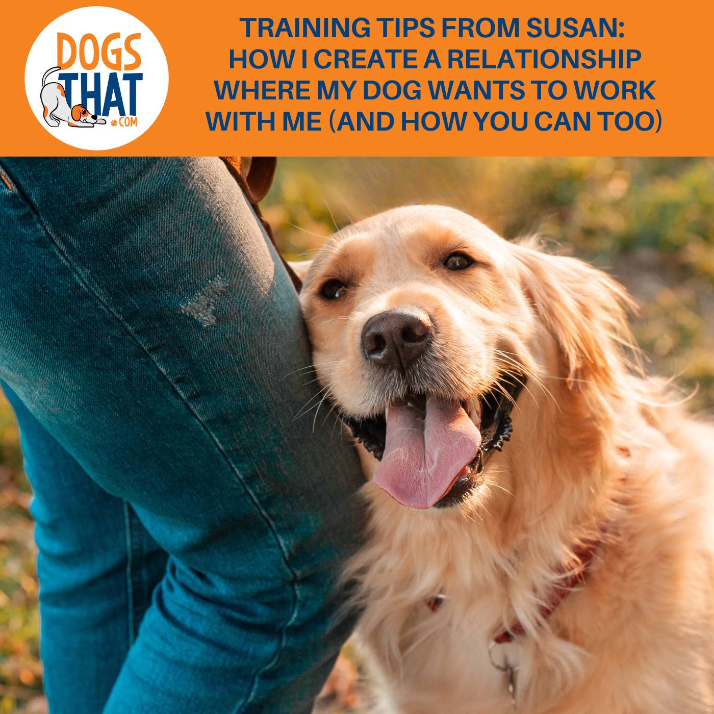 Training Tips From Susan: How I Create A Relationship Where My Dog Wants To Work With Me (And How You Can Too)