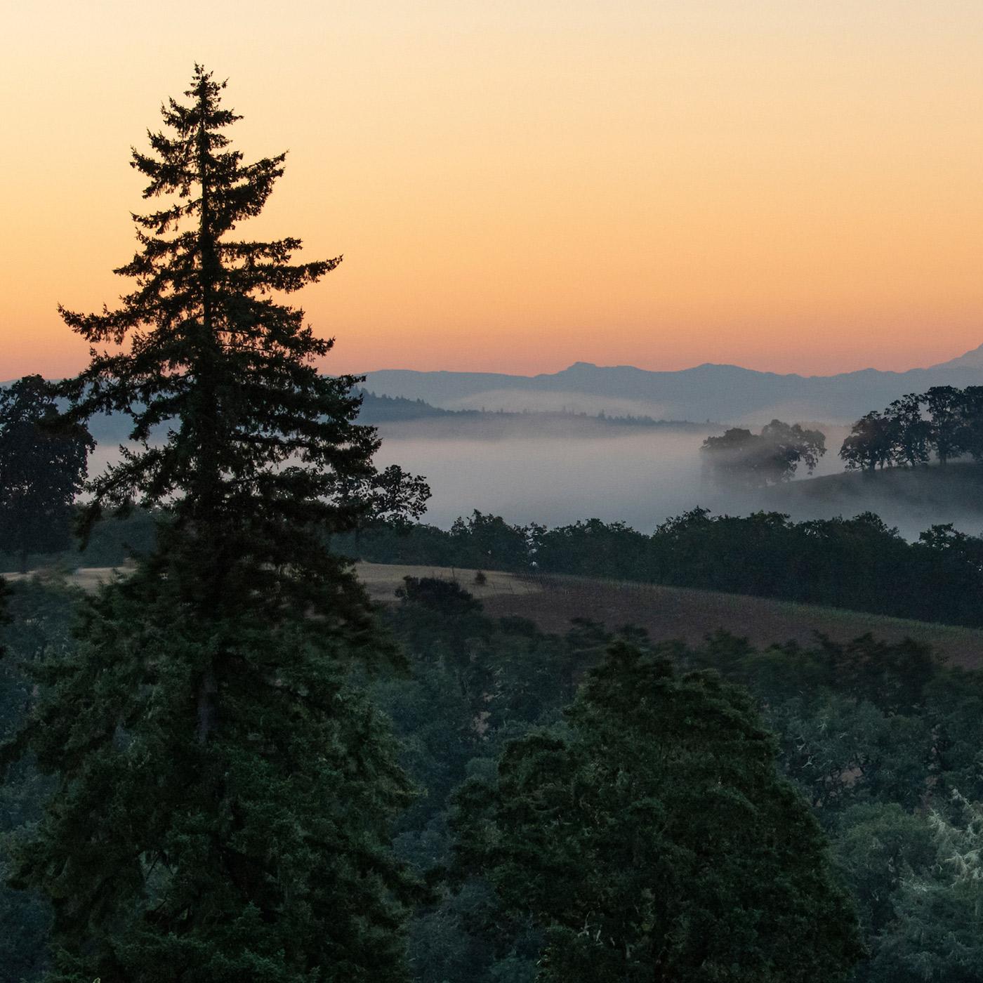 Kobrand Sips & Selling Tips