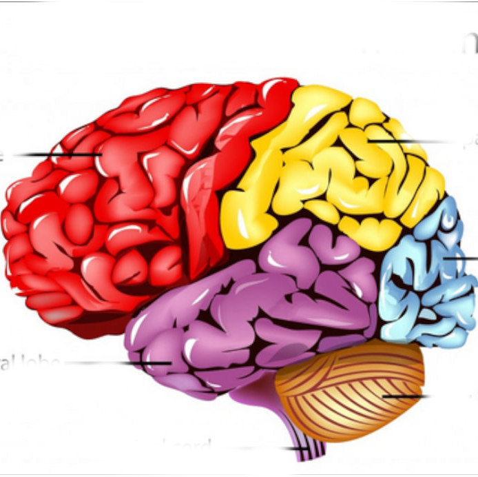 Your Busy Brain