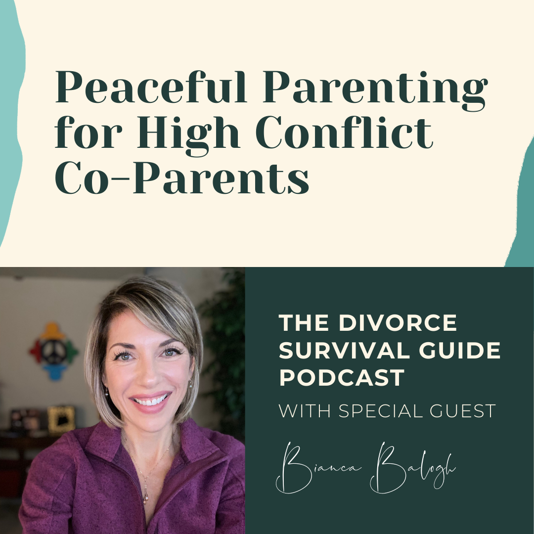 Episode 125: Peaceful Parenting for High Conflict Co-Parents with Bianca Balogh