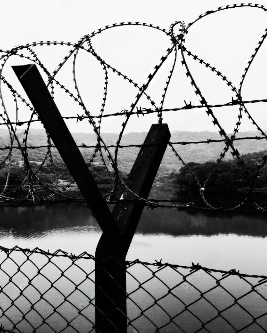 EP 73: How Israel Sold ‘Homeland Security’ to India
