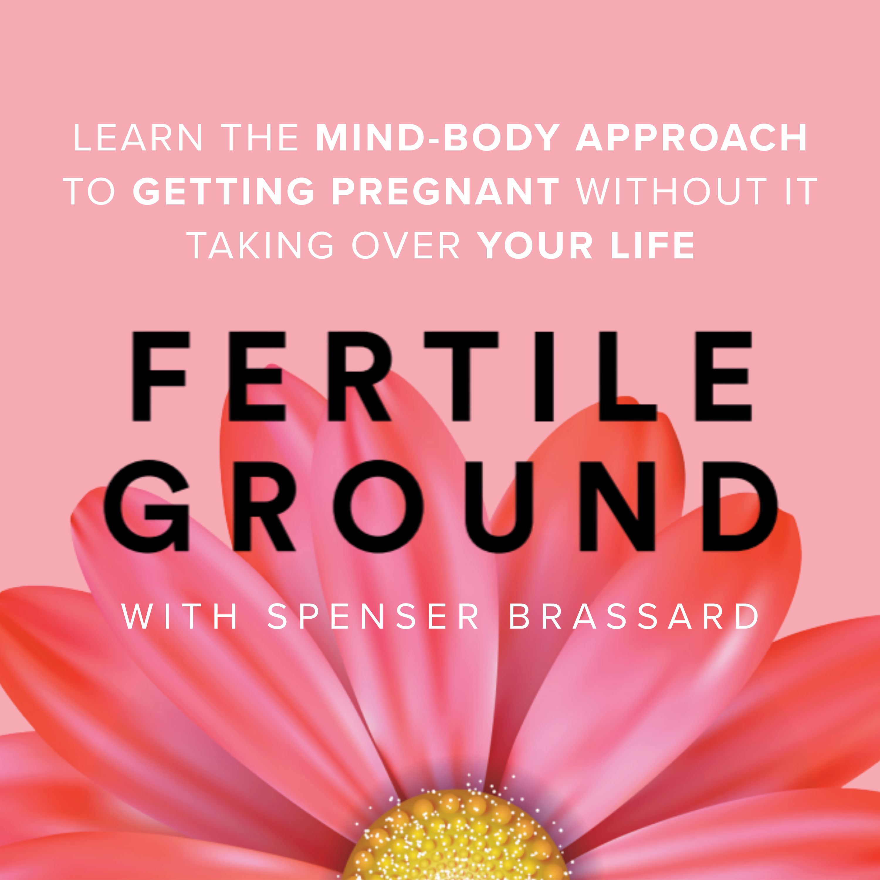 Fertile Ground: A mind-body approach to getting pregnant - without it taking over your life. Artwork