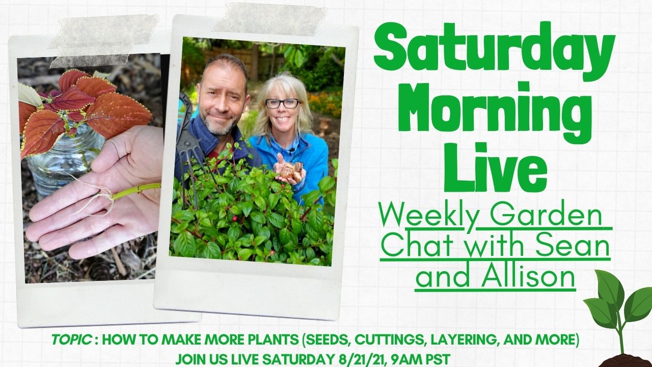 Saturday Morning LIVE Garden Chat - How to Make More Plants on 8-21-2021
