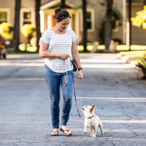 Applying Behavioral Science to Everyday Training with Dr. Keira Moore [Episode 253]