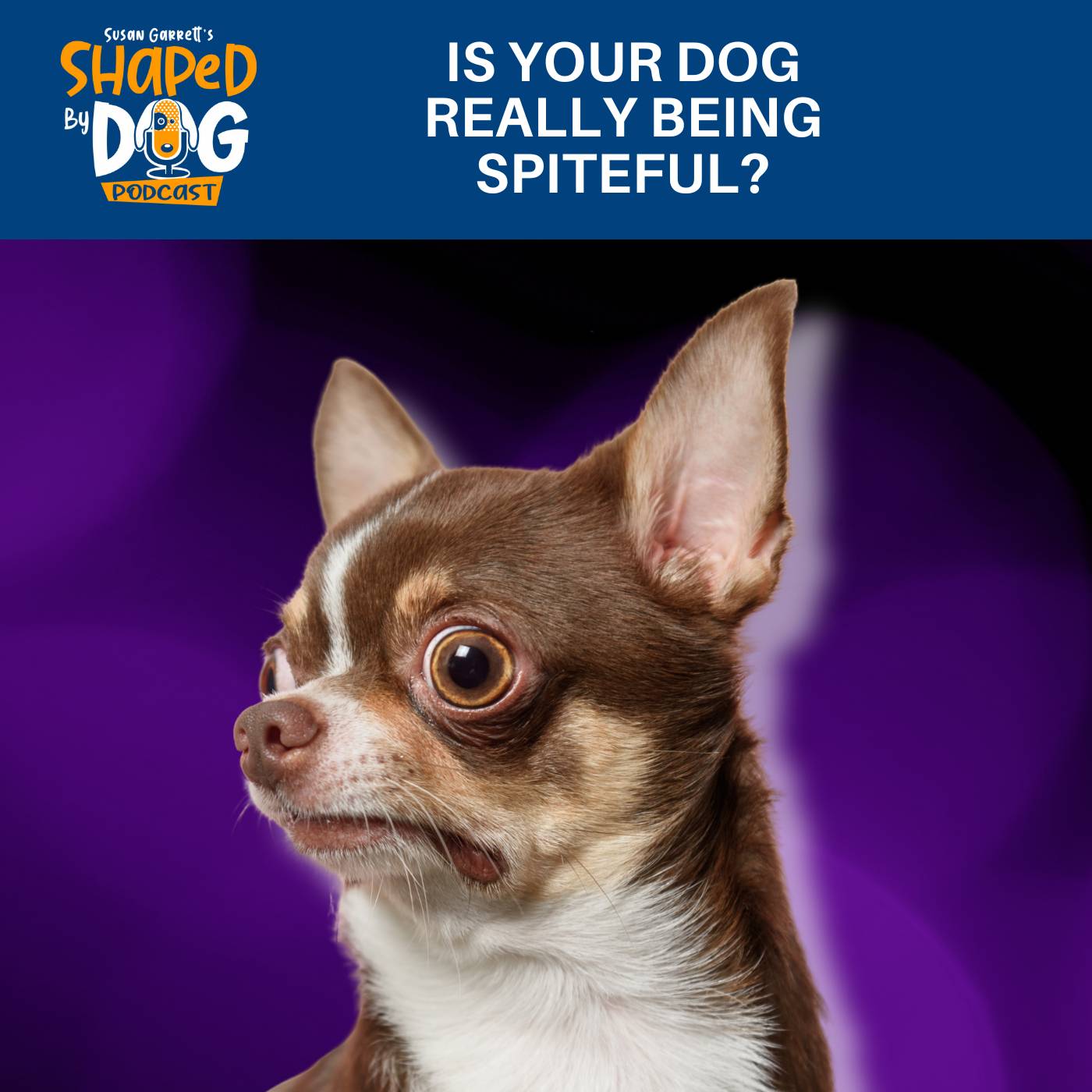 Is Your Dog Really Being Spiteful? #321