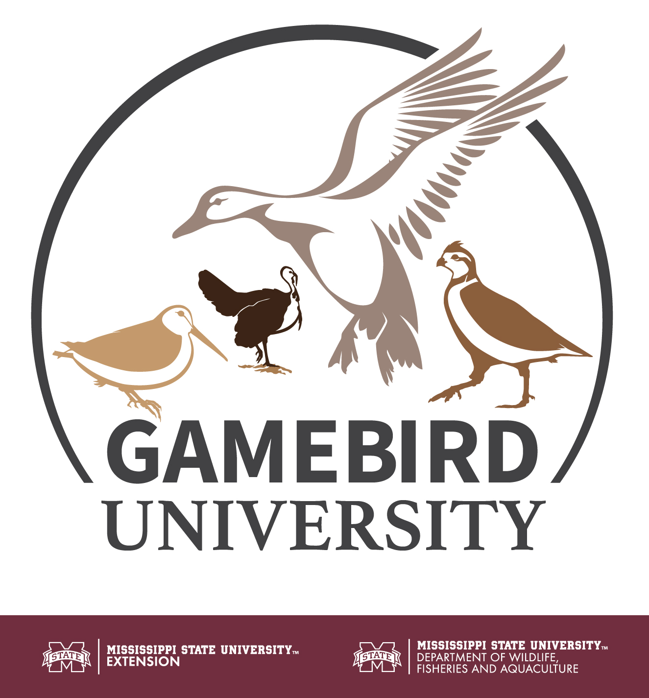 Sanctuary Science: Protecting Waterfowl While Preserving Tradition | Gamebird University #379