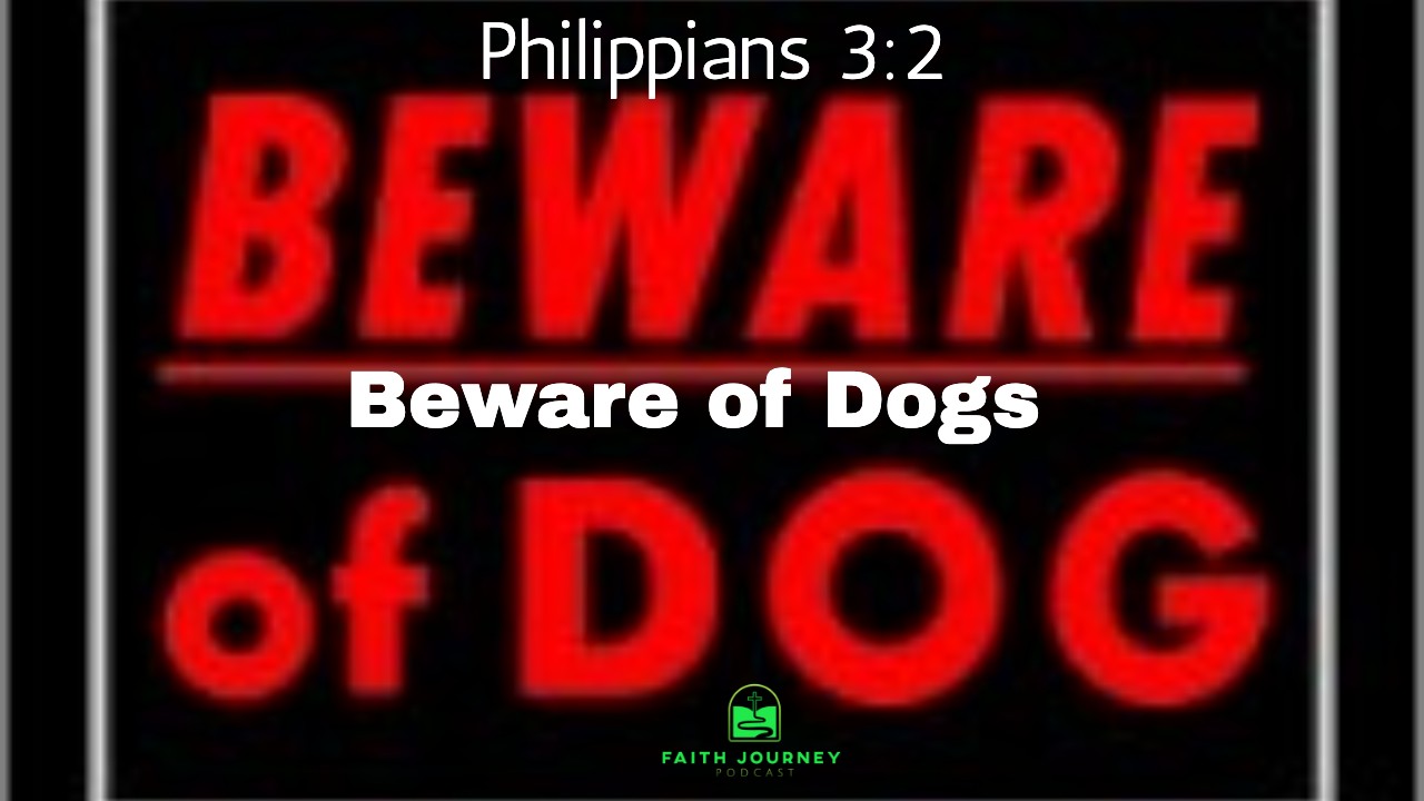 Beware of Dogs
