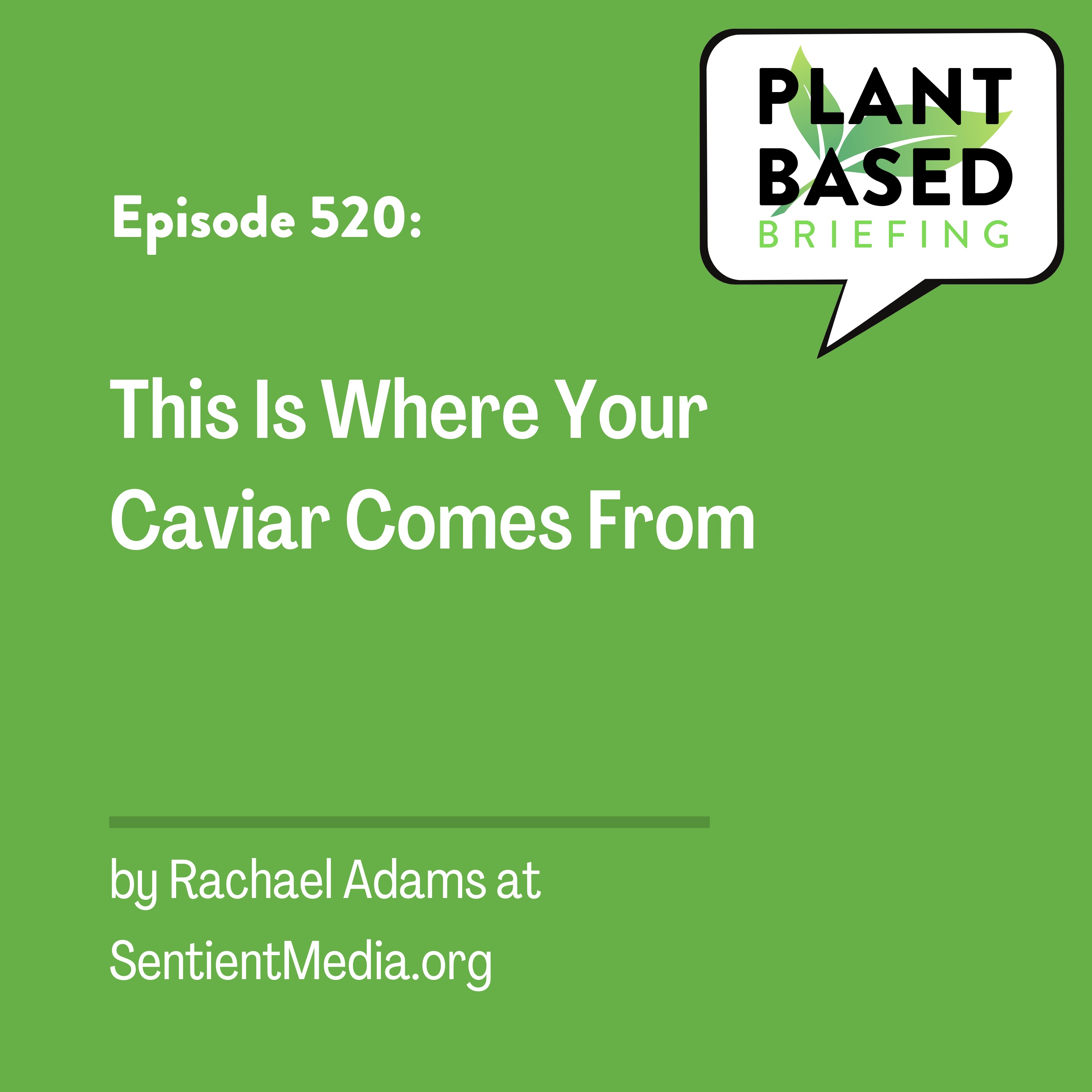 Plant Based Briefing