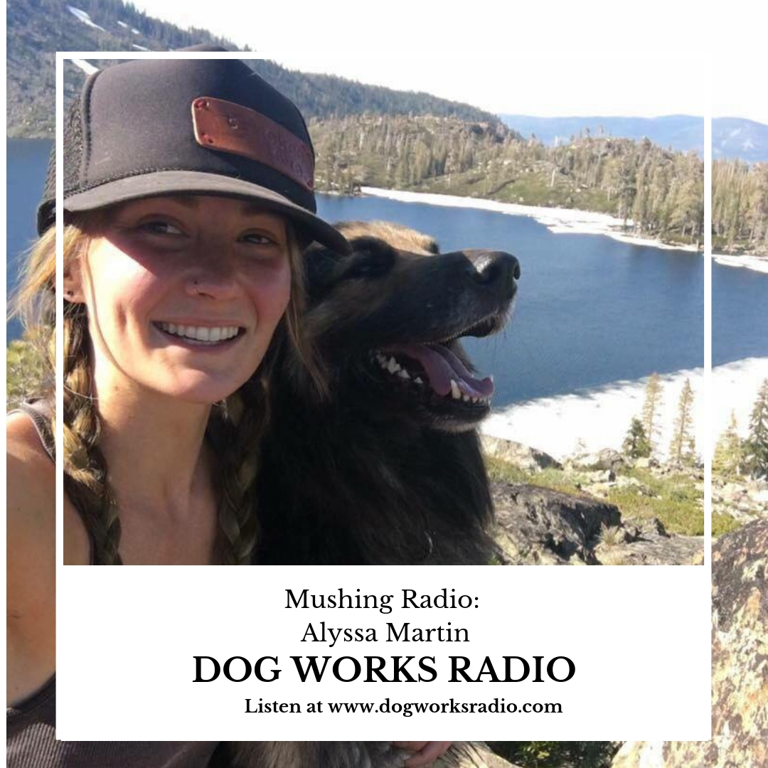 Dog Works Radio