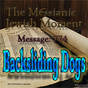 Backsliding Dogs