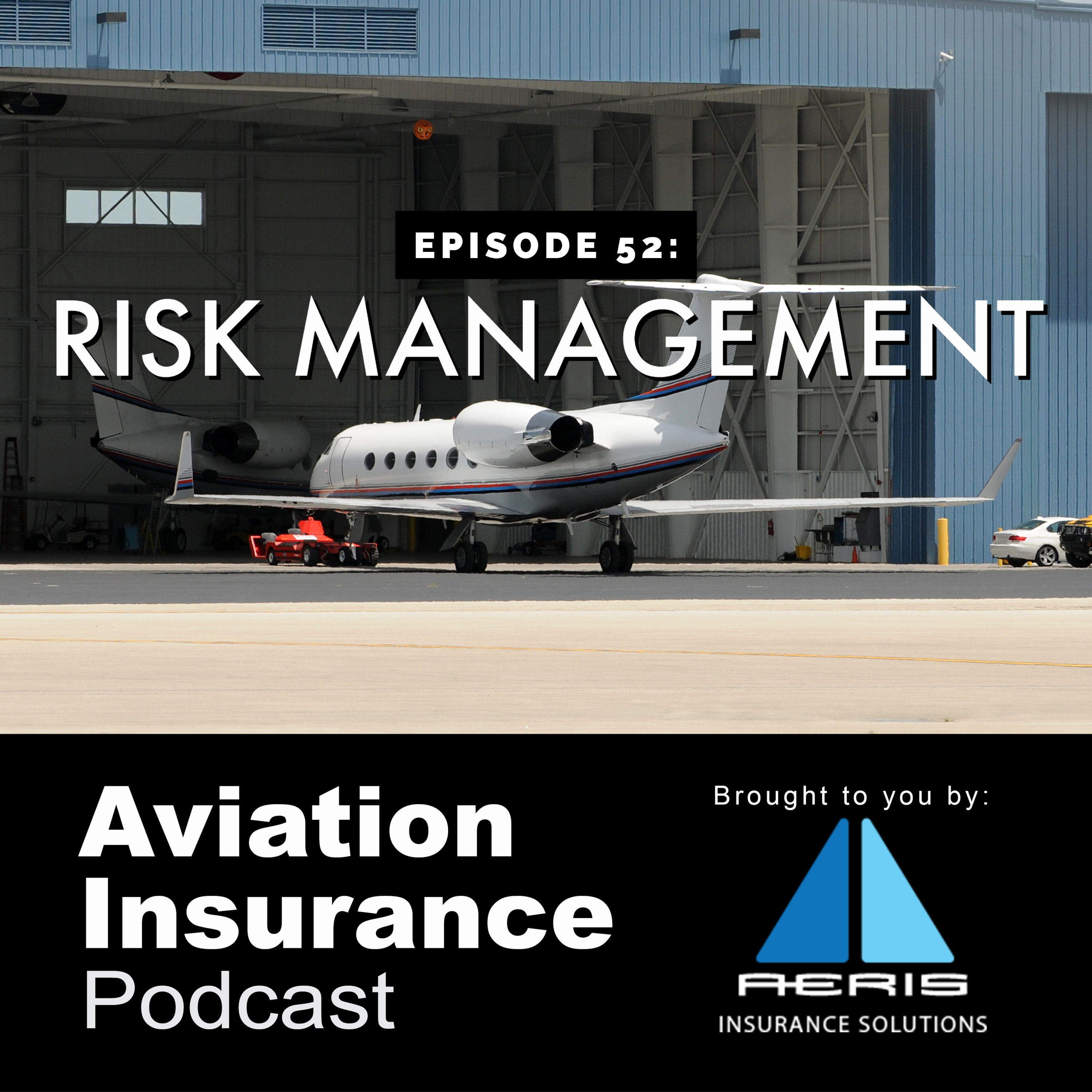 Episode 52: Risk Management Process