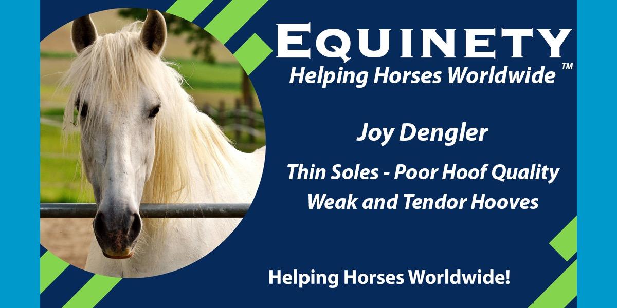 Team Equinety Podcast