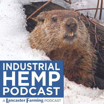 Hemp in Pennsylvania: Commodity Crop or Shadow Cannabis Market?