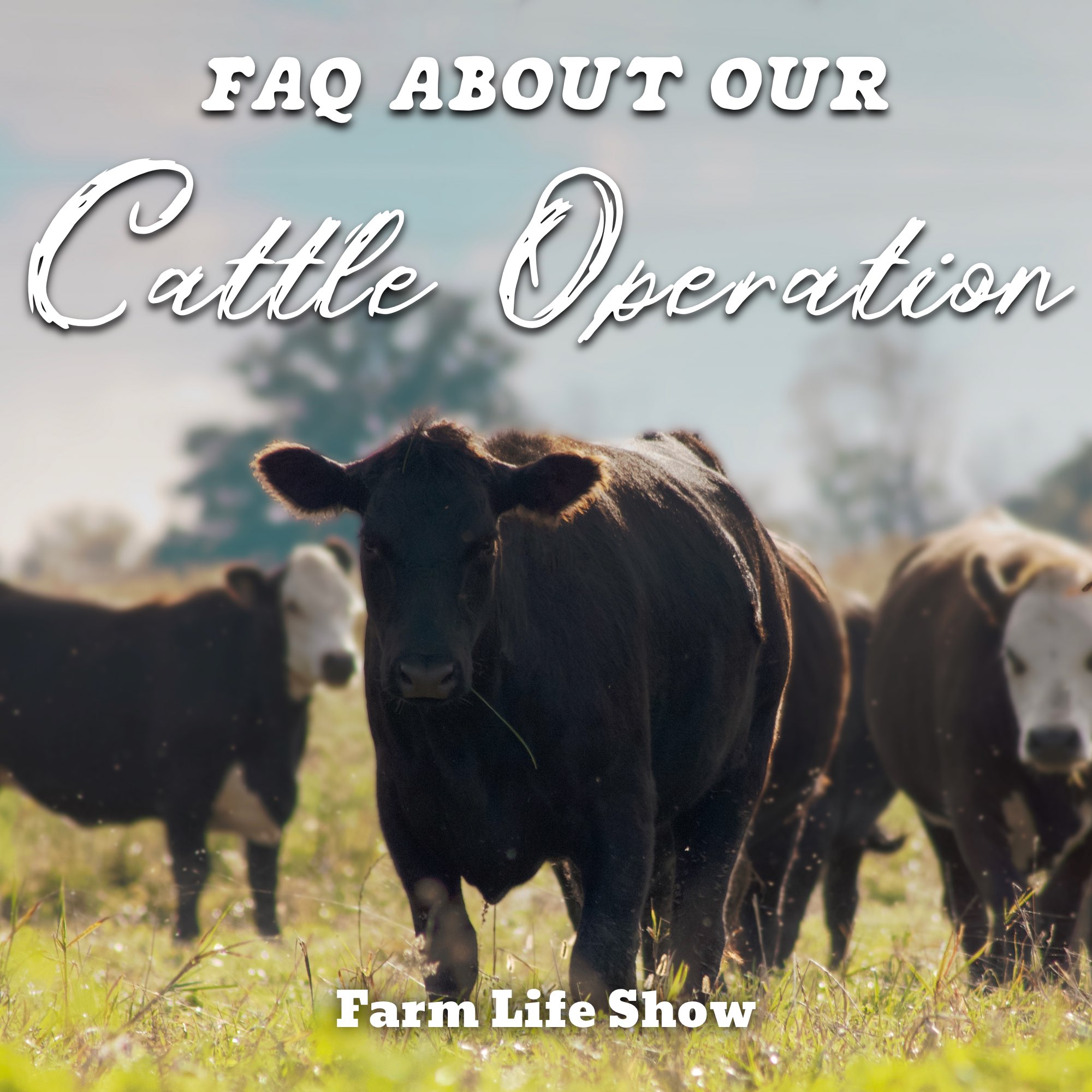 Can We Feed the World with Regenerative Farming?