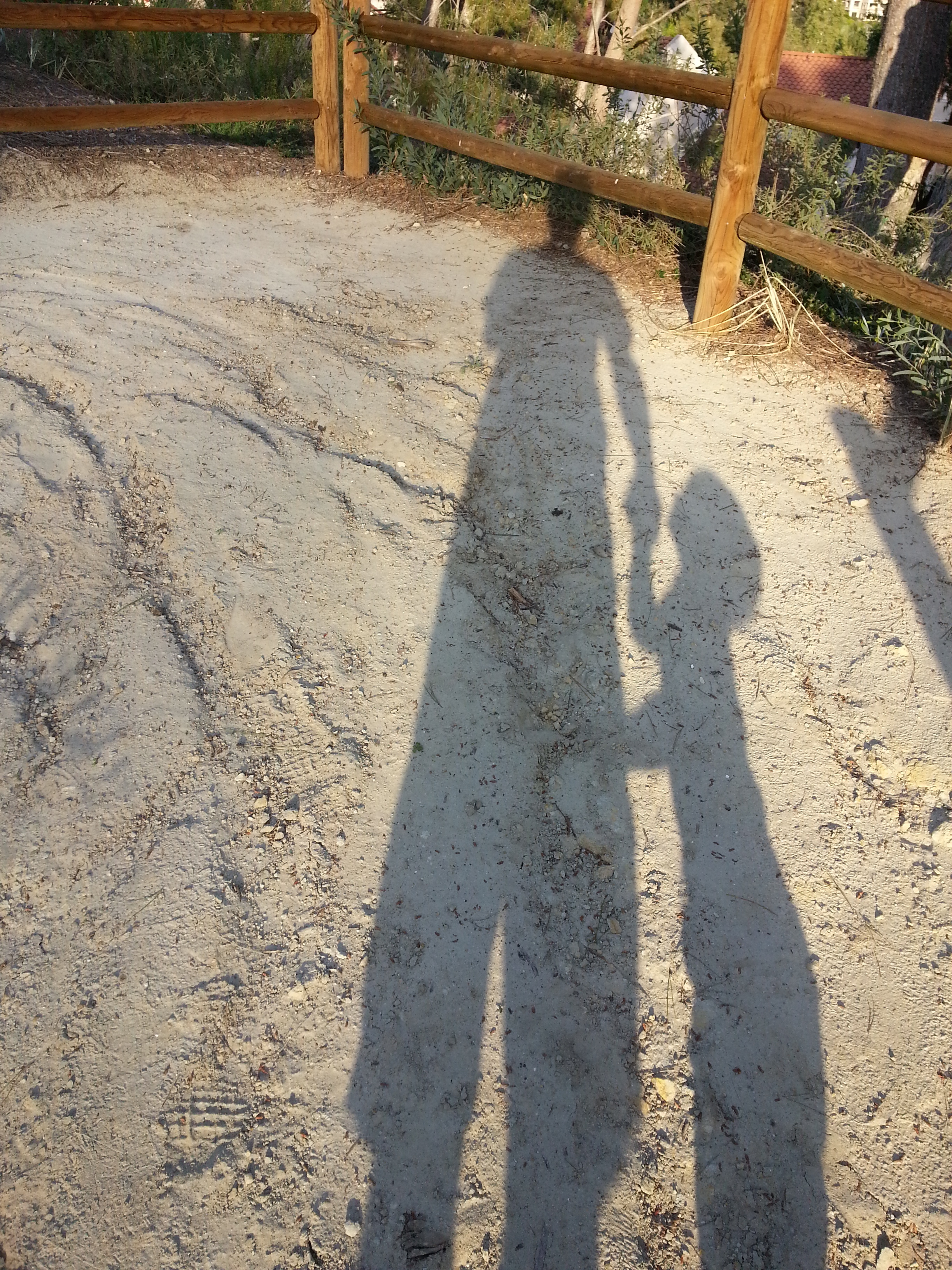 #183 What is your Family Foundation? #183 What is your Family Foundation?