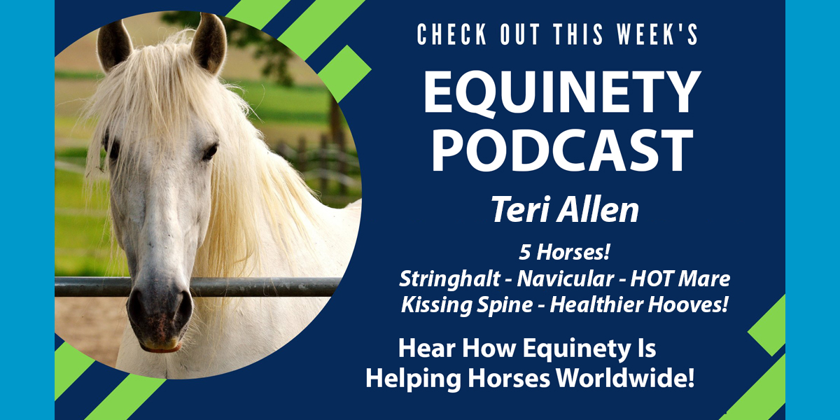 Team Equinety Podcast