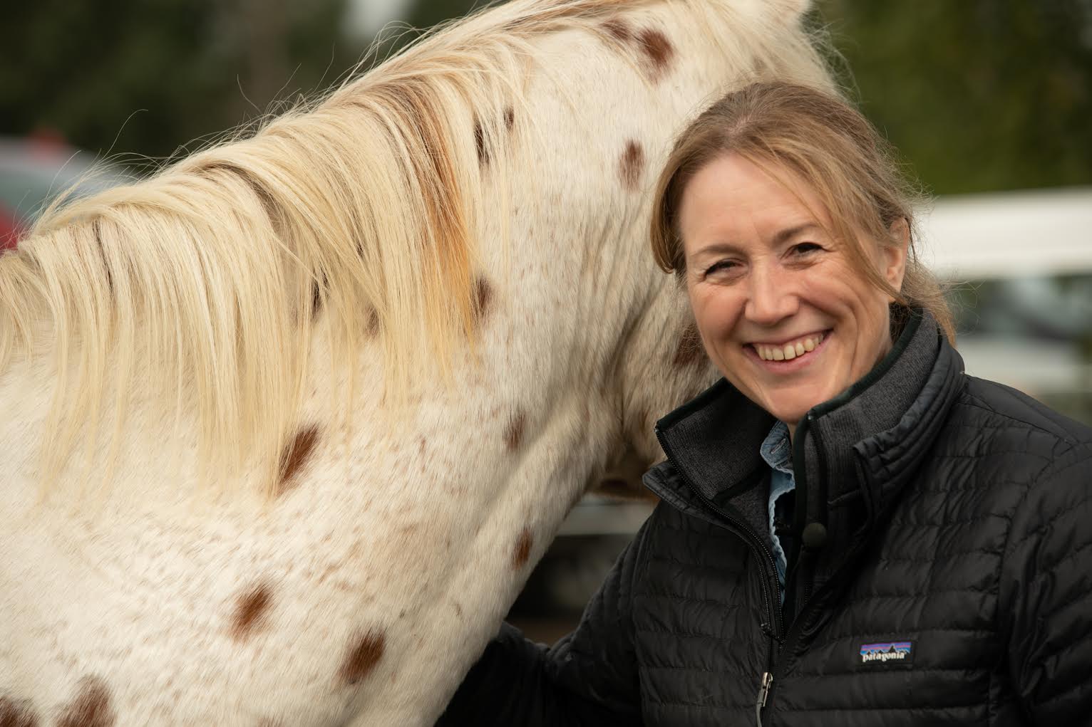 Horses Helping Humans