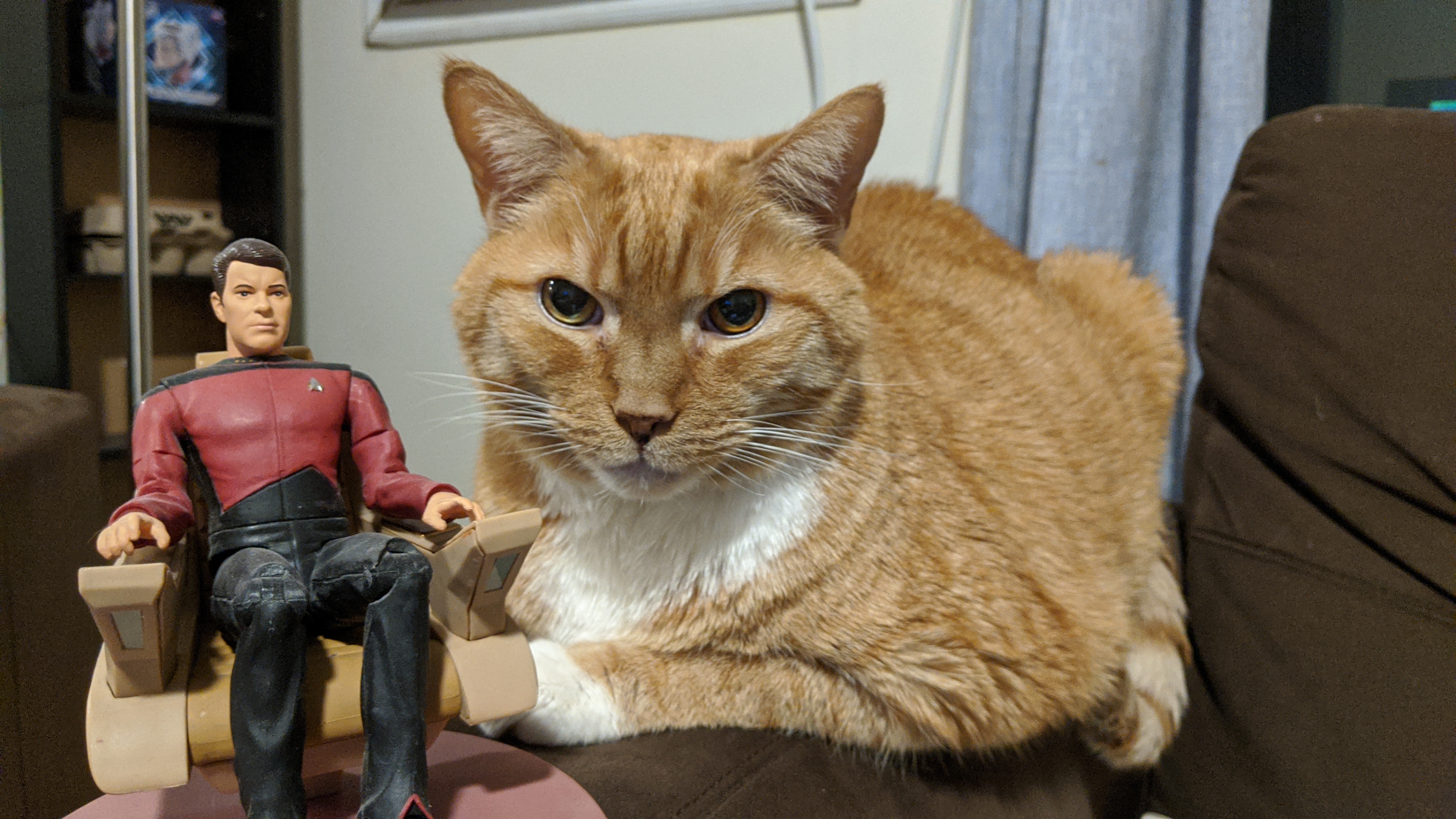 Picard's Not My Dad Episode 0
