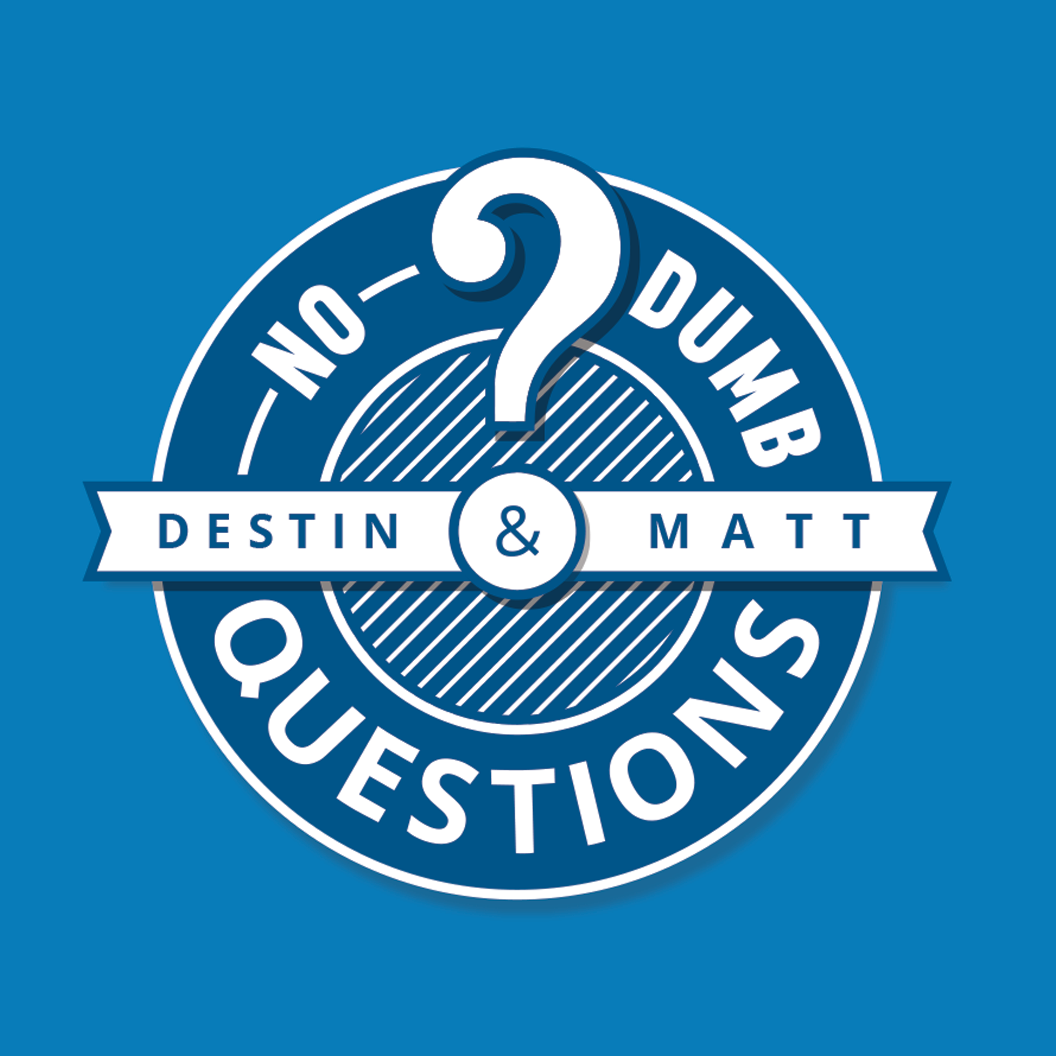 No Dumb Questions Artwork