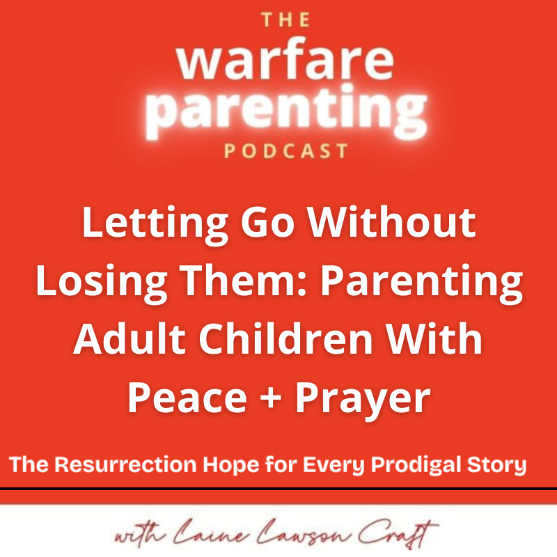 Warfare Parenting: Faith-driven strategies for struggling parents of teens and adult children