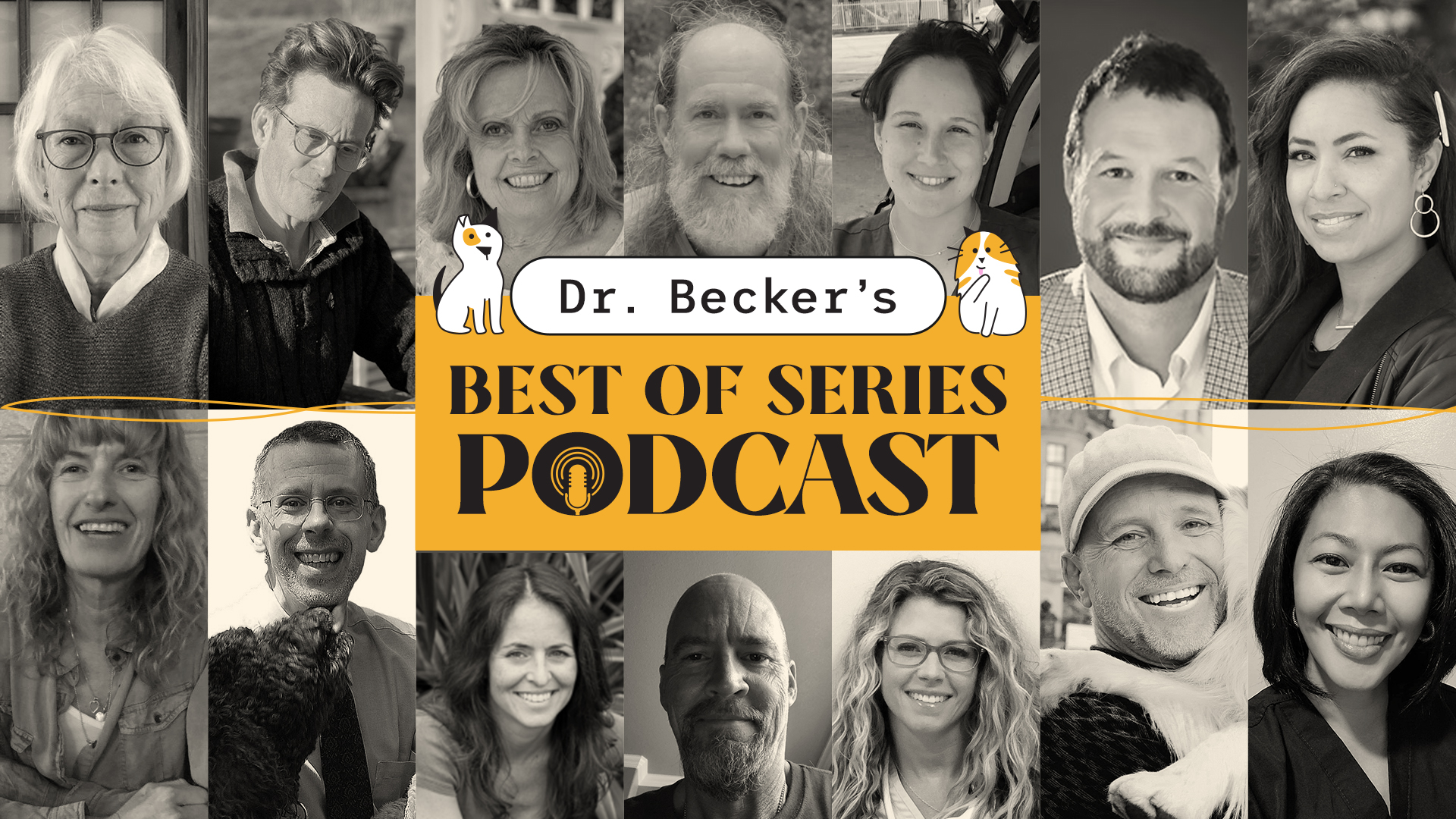 Best of Series - Lowering Euthanasia Rates in Your Community
