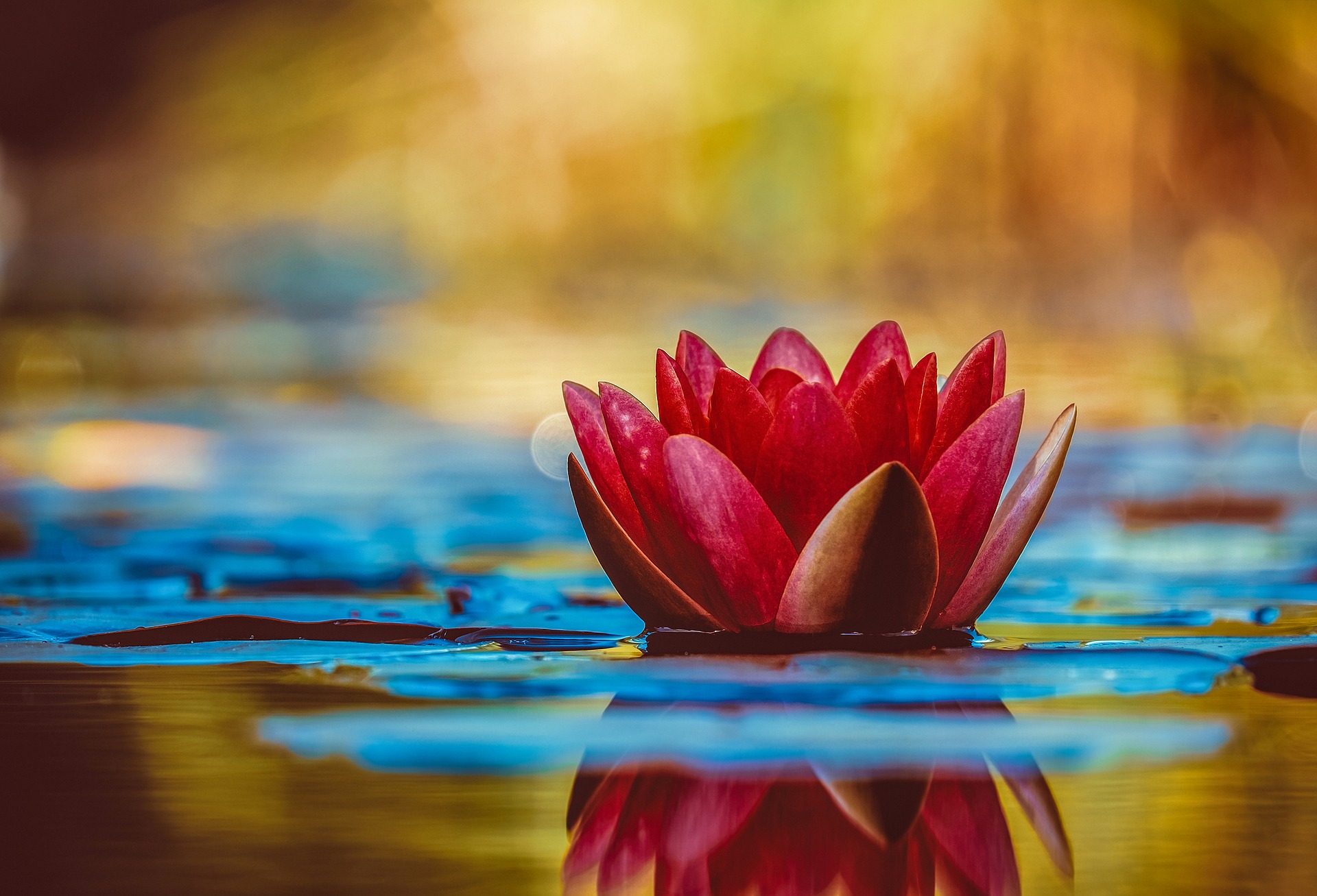 The 12-Step Buddhist Podcast